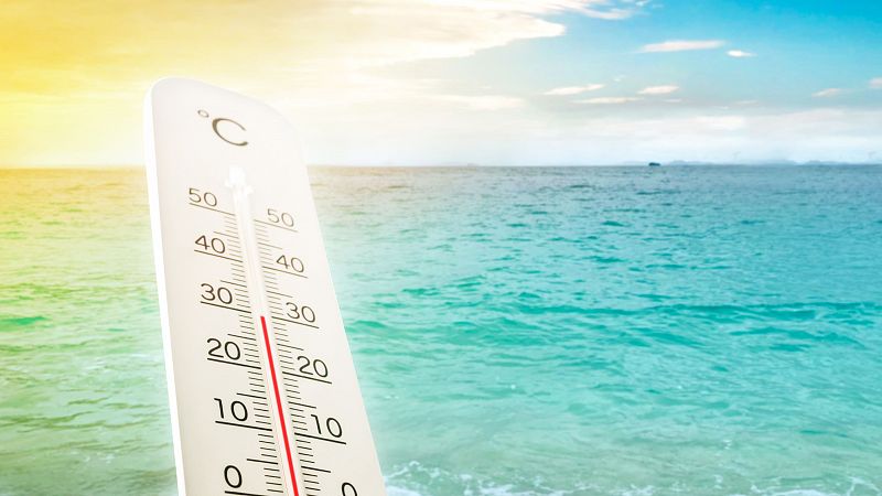 Planeta vivo - Más calor, menos pesca - 26/03/2025 - Escuchar ahora