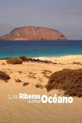 Las riberas del mar océano