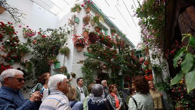 Uno de los emblemticos patios de Crdoba reabre sus puertas para la fiesta floral