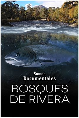 Bosques de Ribera