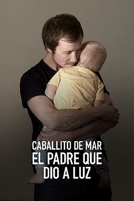 Caballito de mar, el padre que dio a luz